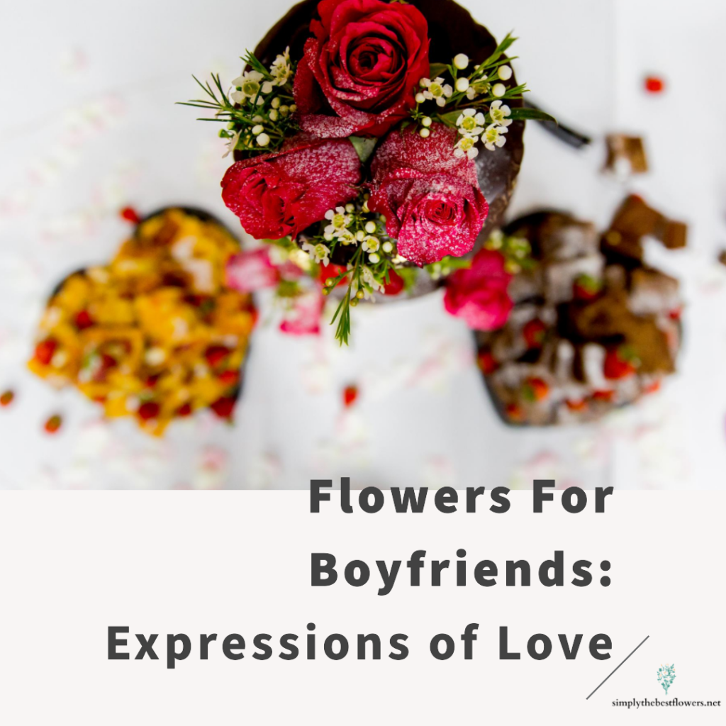 boyfriend-flowers-meaning-symbolism