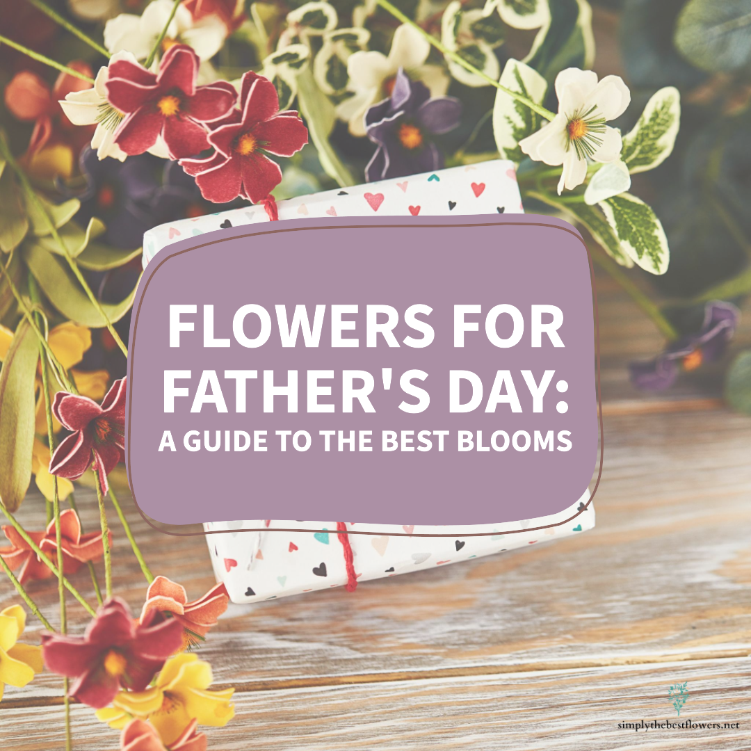 fathers-day-flowers-meaning-symbolism