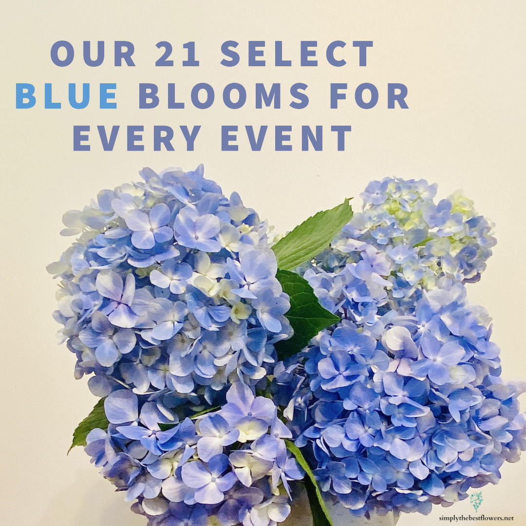 list-21-blue-flowers
