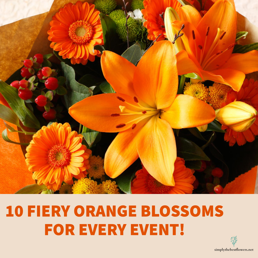 list-10-orange-flowers