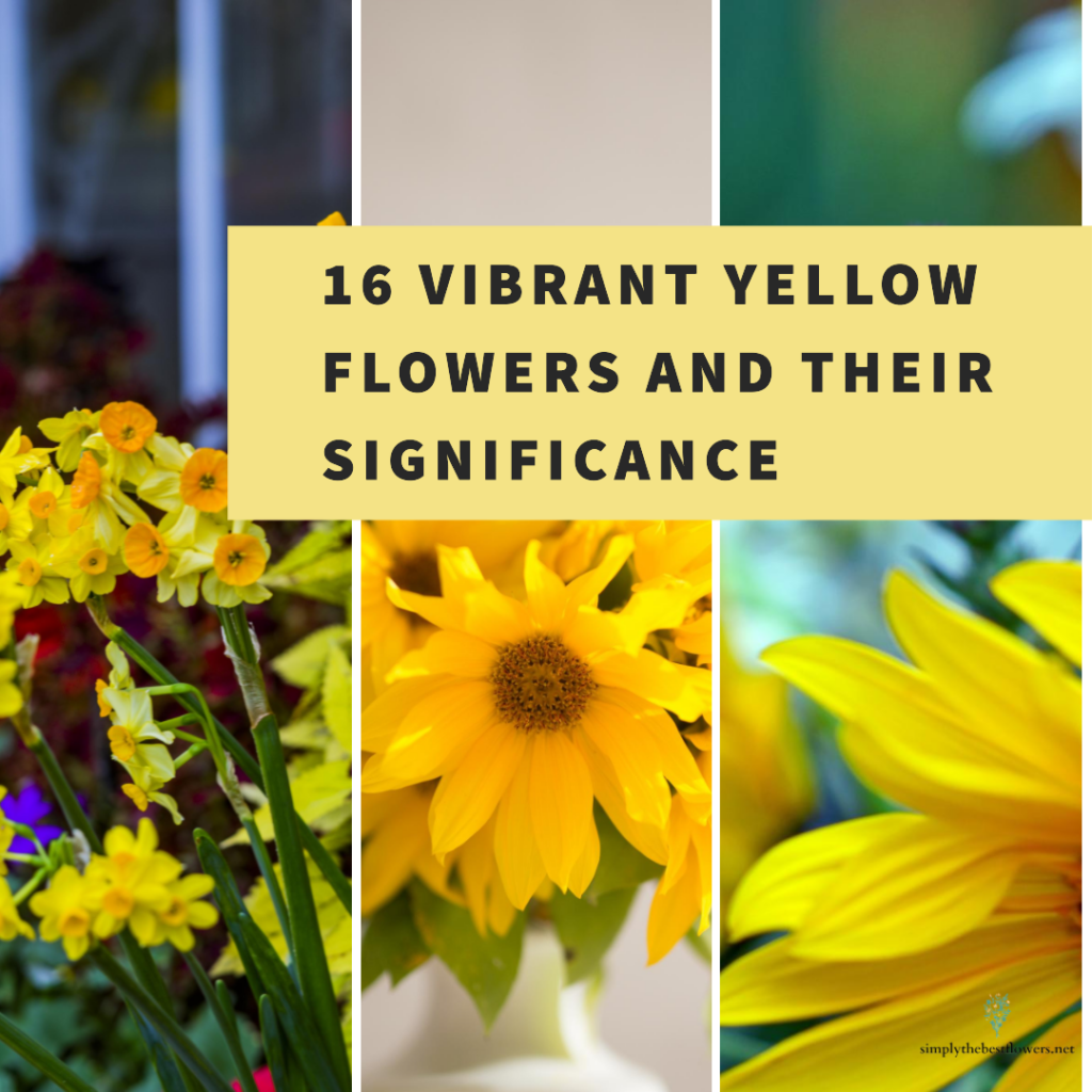 list-16-yellow-flowers