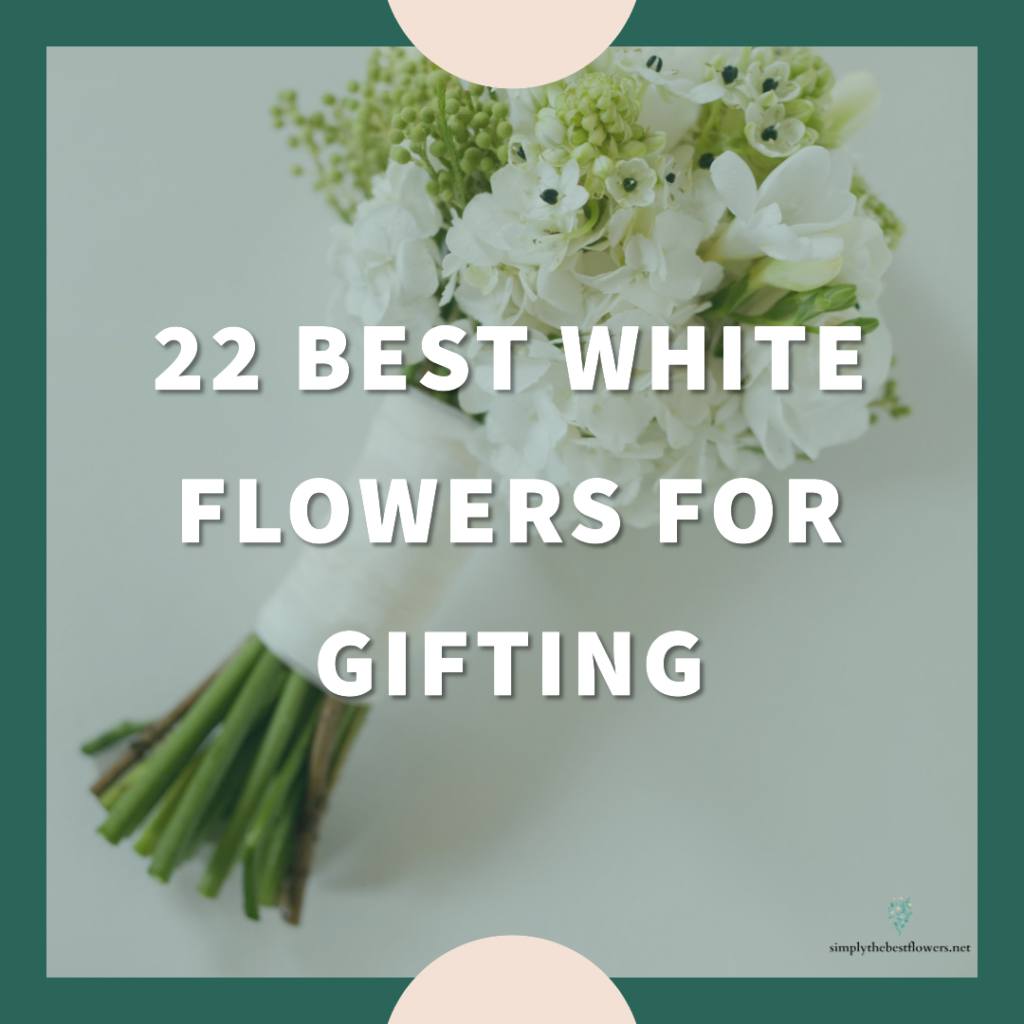 best-white-flowers