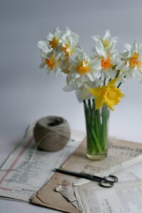 white-daffodil-bouquet-care
