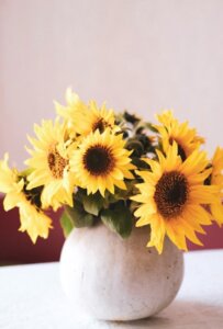 potted-sunflowers-bouquet
