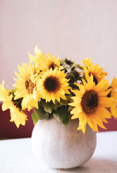 potted-sunflowers-bouquet