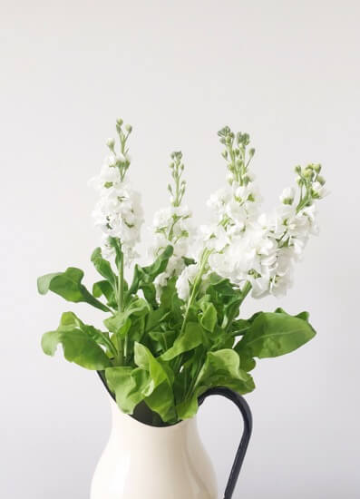 white-flower-bouquet-for-funeral