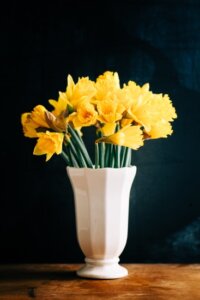 yellow-daffodil-bouquet-delivery