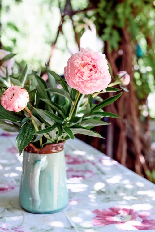 pink-peony-bouquet-vase
