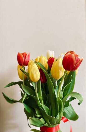 mixed-tulip-bouquet-delivery