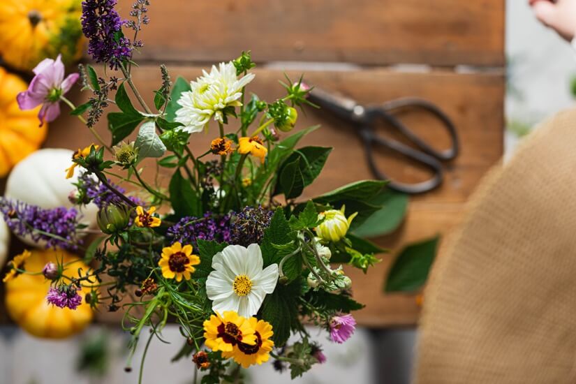bouquet-of-daisies-care-guide